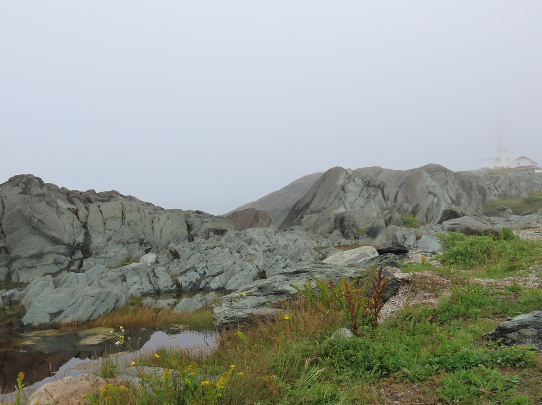 Cape Forchu Lighthouse景点图片