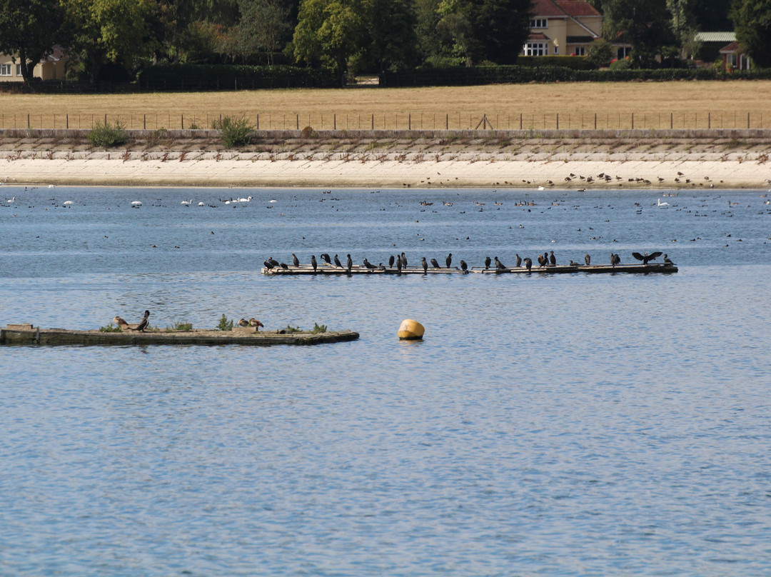 Hanningfield Nature Discovery Centre景点图片