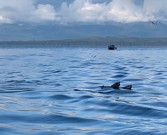Hoonah Travel Adventures-胡纳必去景点
