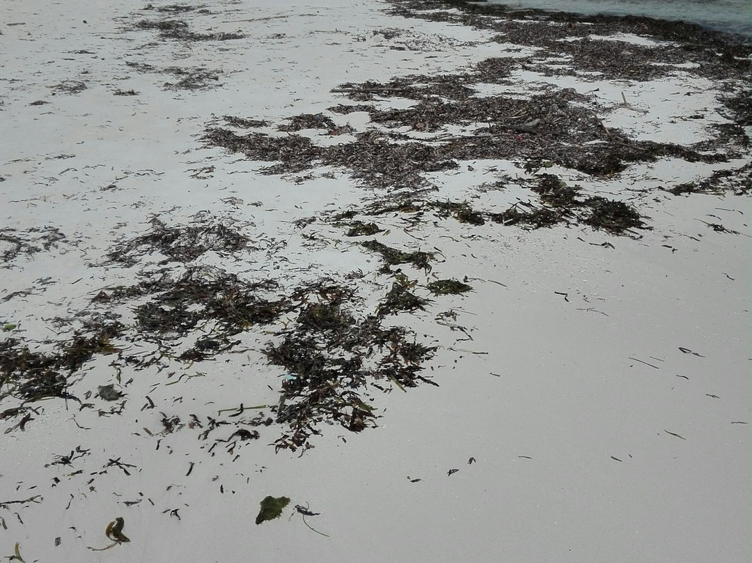 遐思潜水村酒店主图