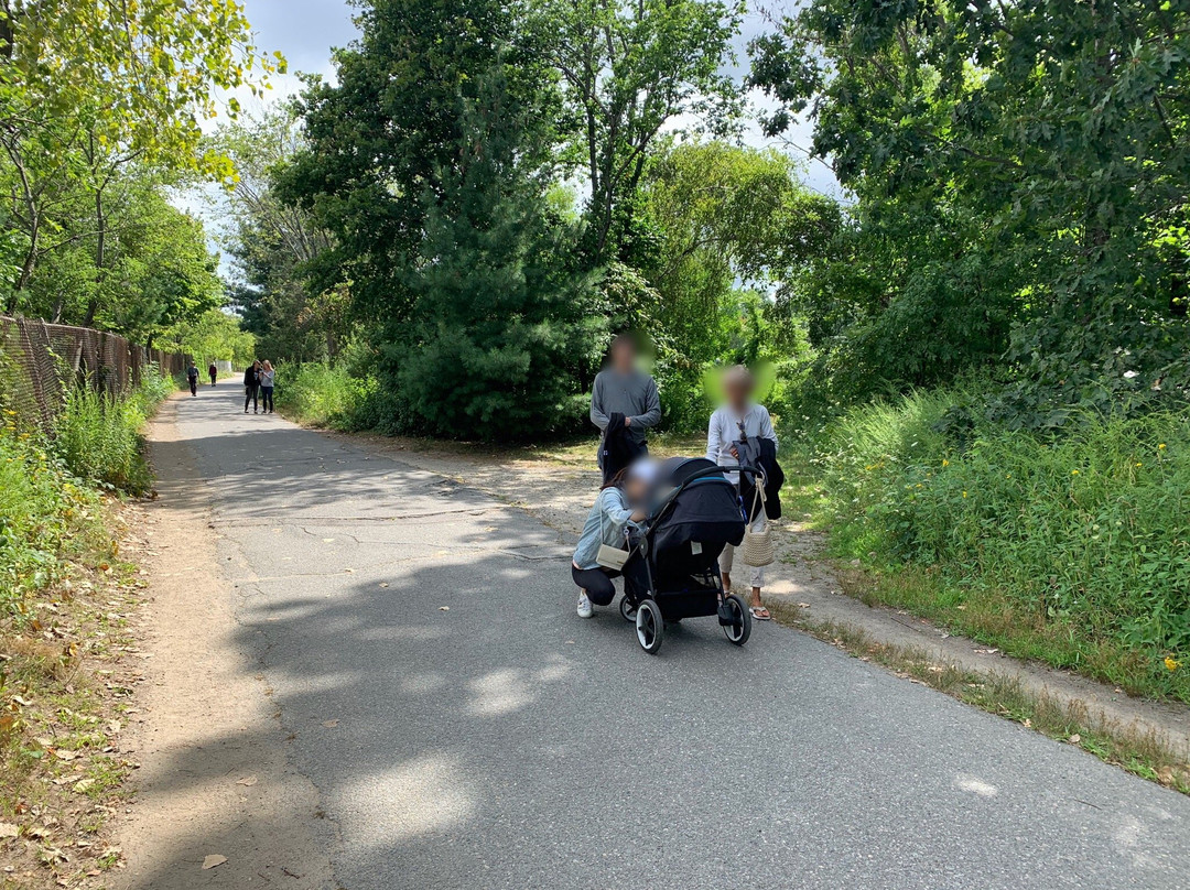 Fresh Pond Reservation景点图片