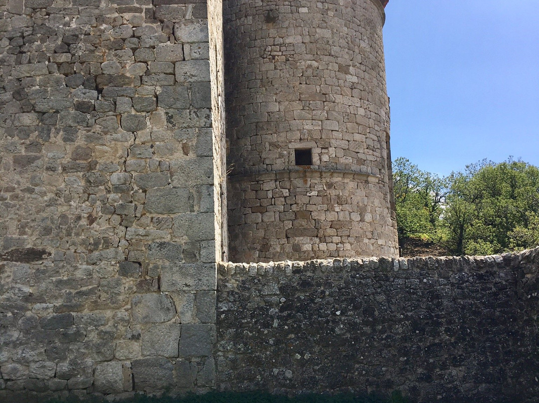 Château de Craux景点图片