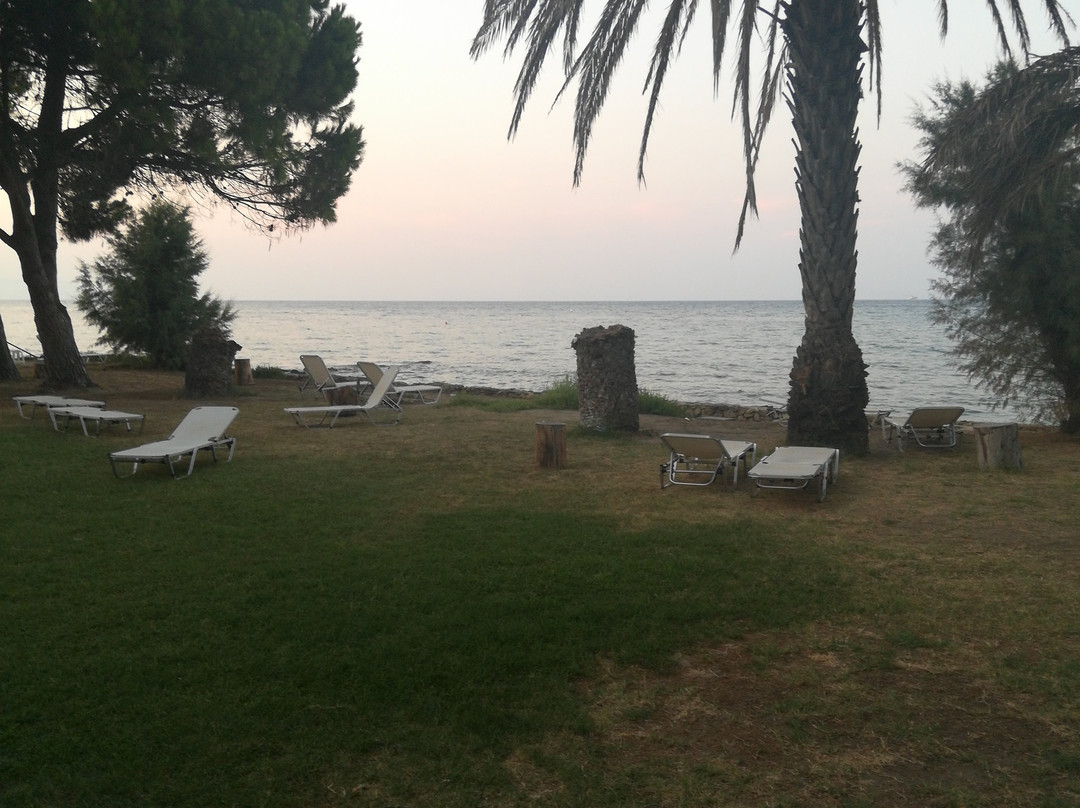 Mimoza Beach Bar-Argassi必去景点