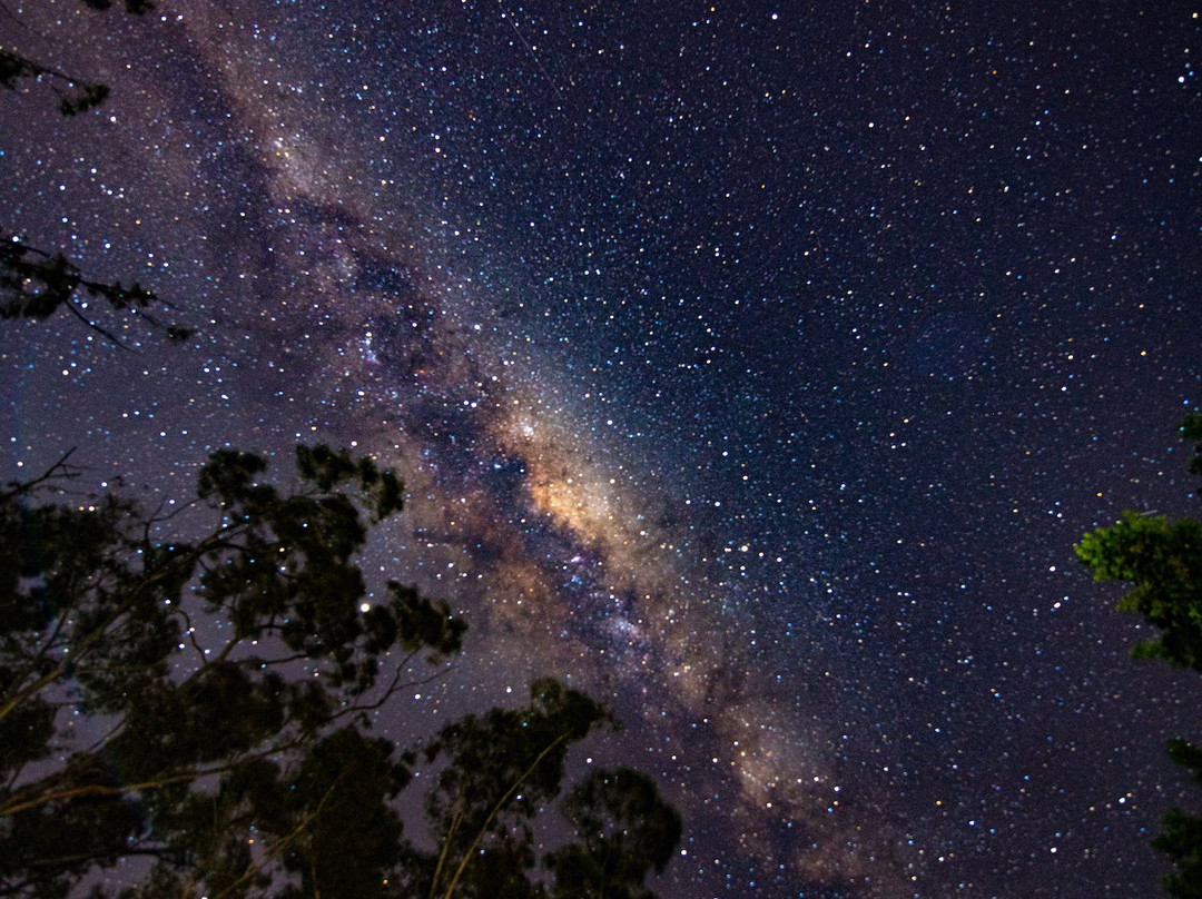 Bartholomeus Klip Farmhouse主图