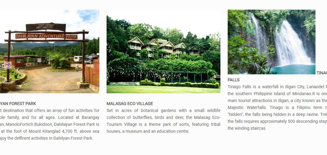 LOHAS Airport Hotel主图