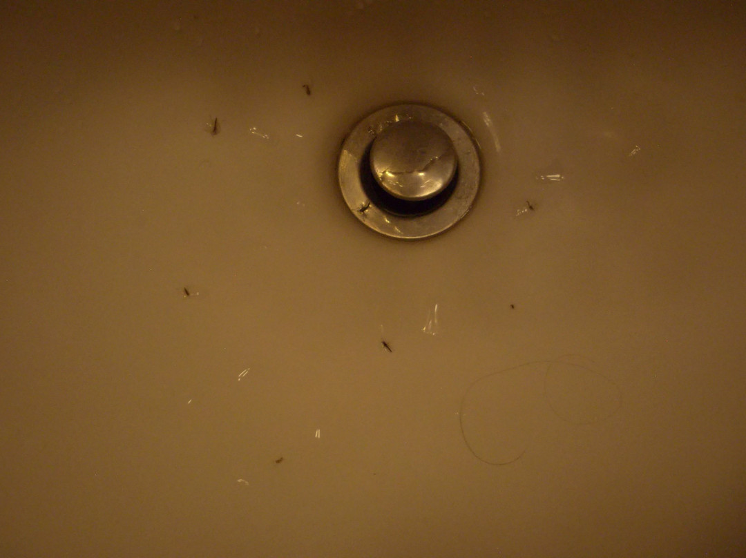 Soap Lake Natural Spa & Resort主图