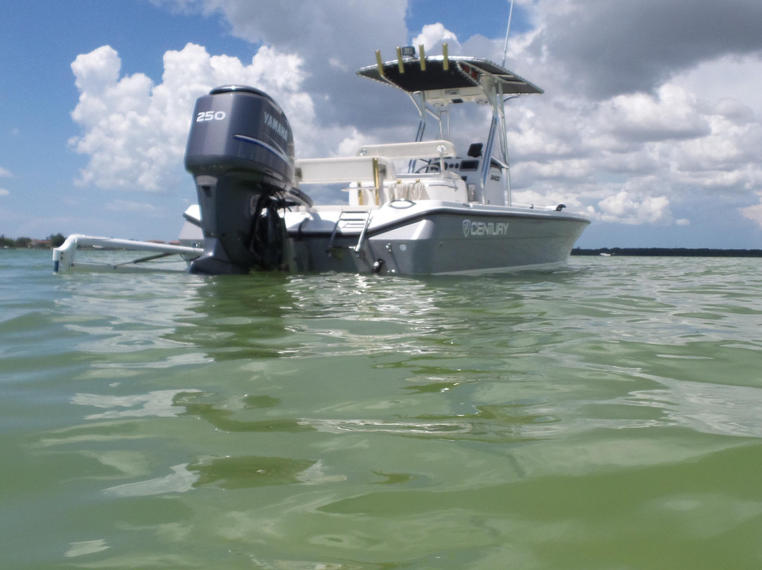 Slick Water Charters-Indian Shores必去景点