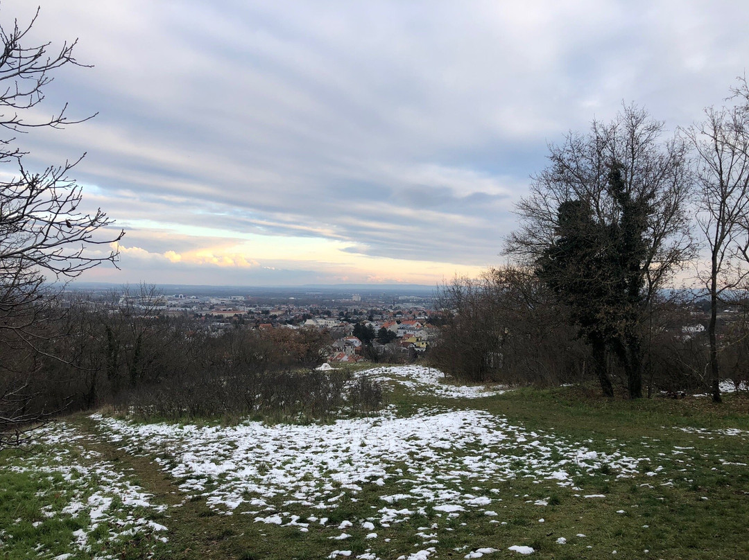 Kreuzweg Hochberg景点图片