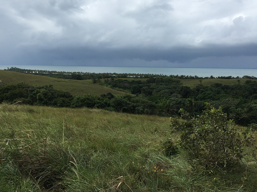 Farol De Taipu-Marau必去景点