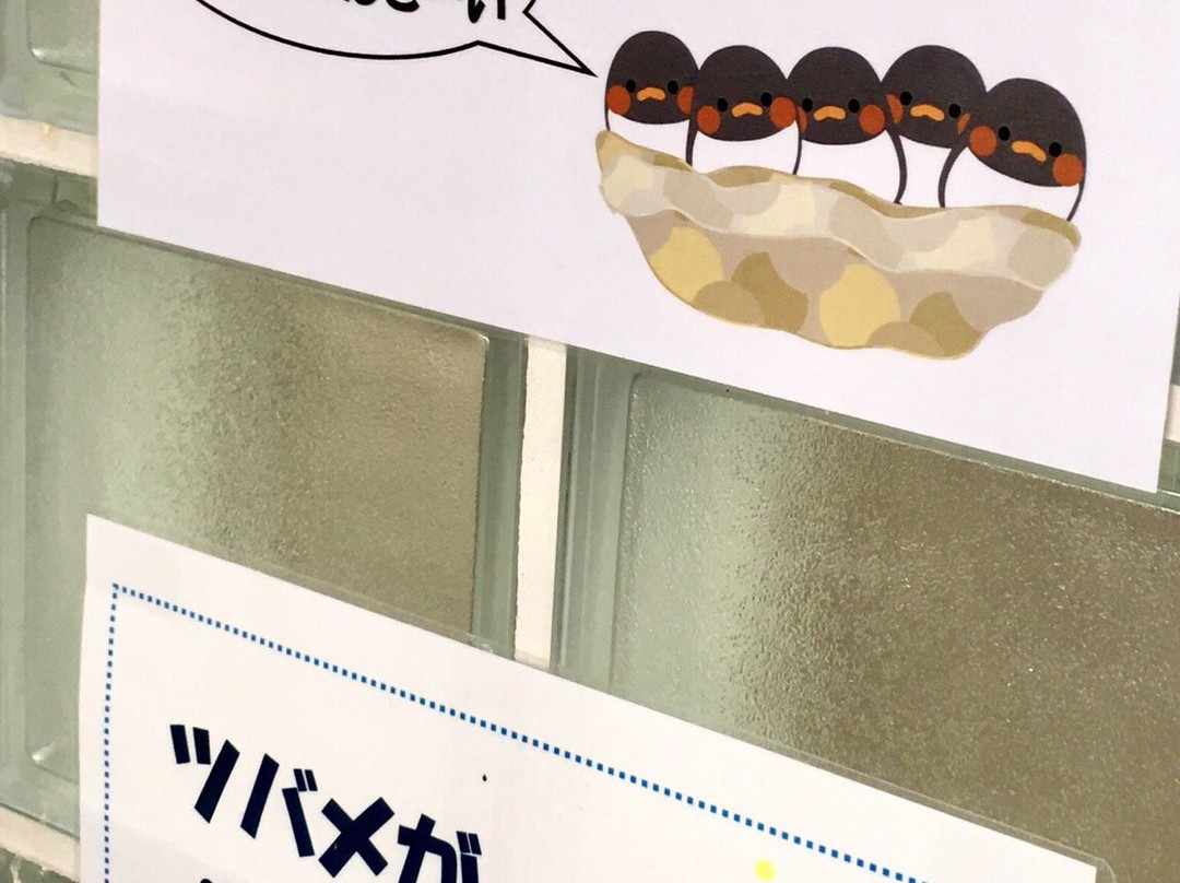 Agui Parking Area景点图片