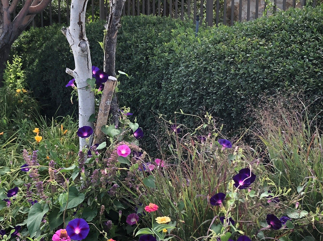 Montrose Botanic Gardens景点图片
