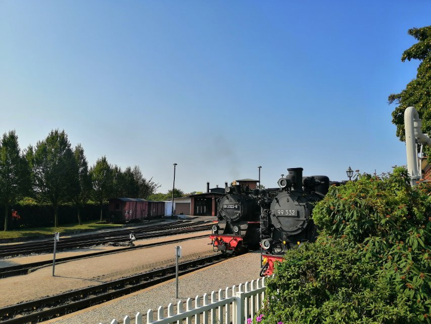 The Mollie Steam Train景点图片