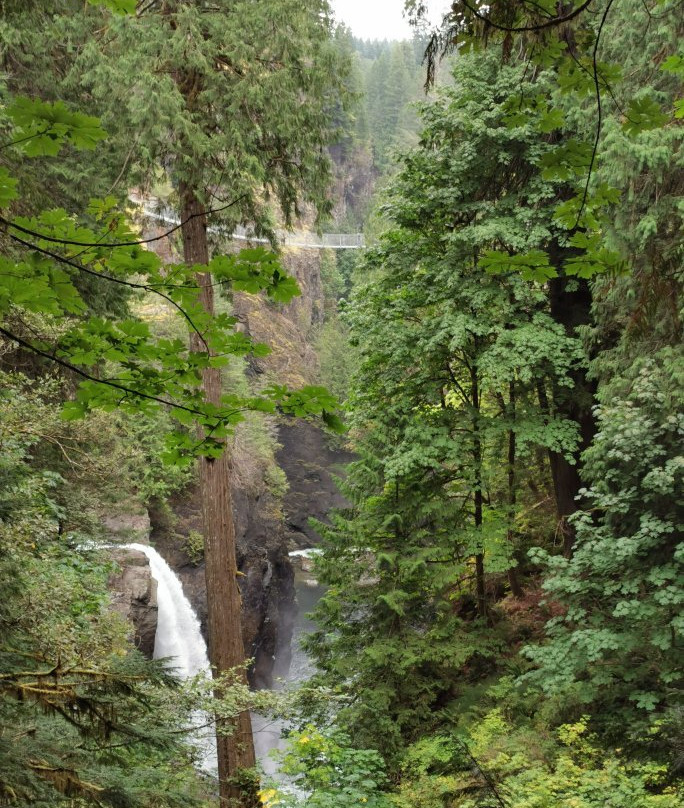 Little Qualicum Falls Provincial Park景点图片