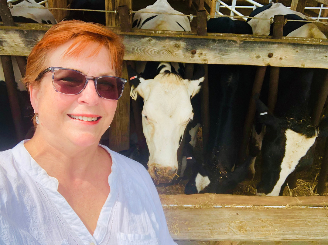 Mt. Crawford Creamery-Mount Crawford必去景点