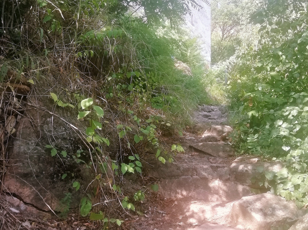 Castel Neuhaus-Terlano必去景点