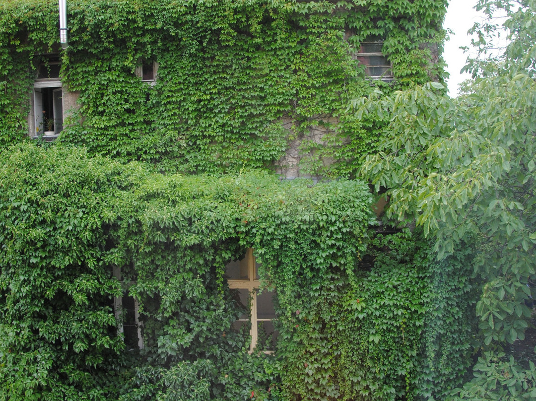 Villa Rezydent主图