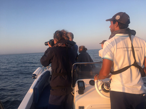 Ocean Vibes Algarve-法罗必去景点