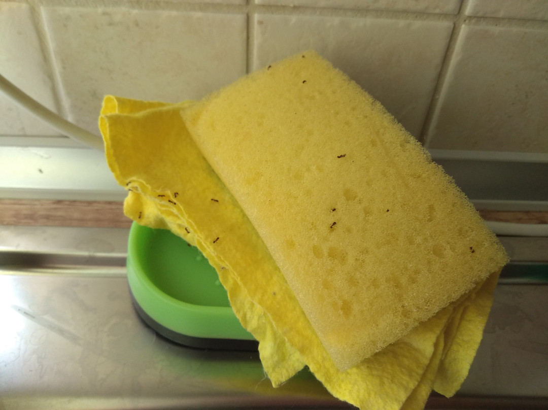 Santa Marina Guesthouse主图