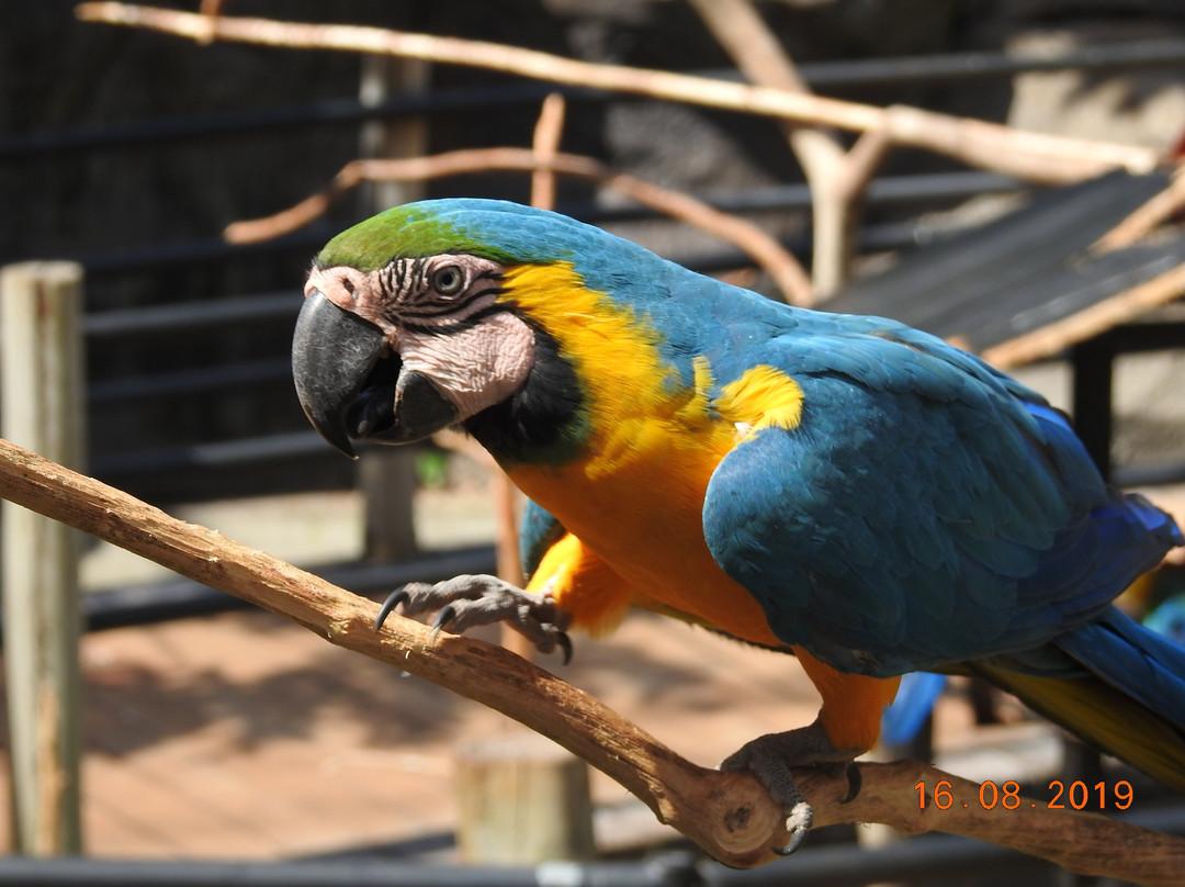 BioParque Vale Amazônia-Parauapebas必去景点