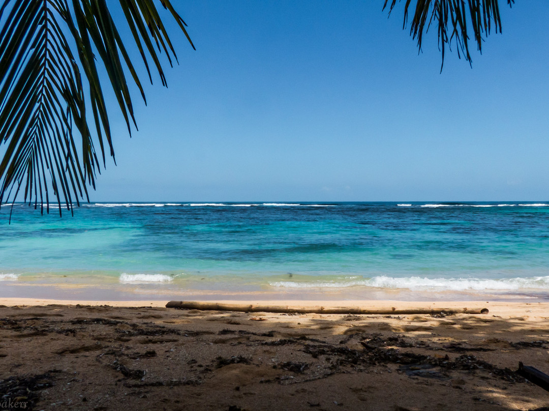 Sweet Caribe Adventures景点图片