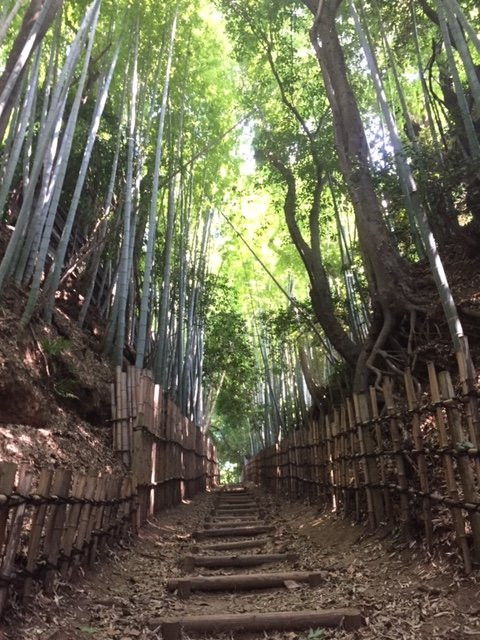 Hiyodori Hill-佐仓市必去景点