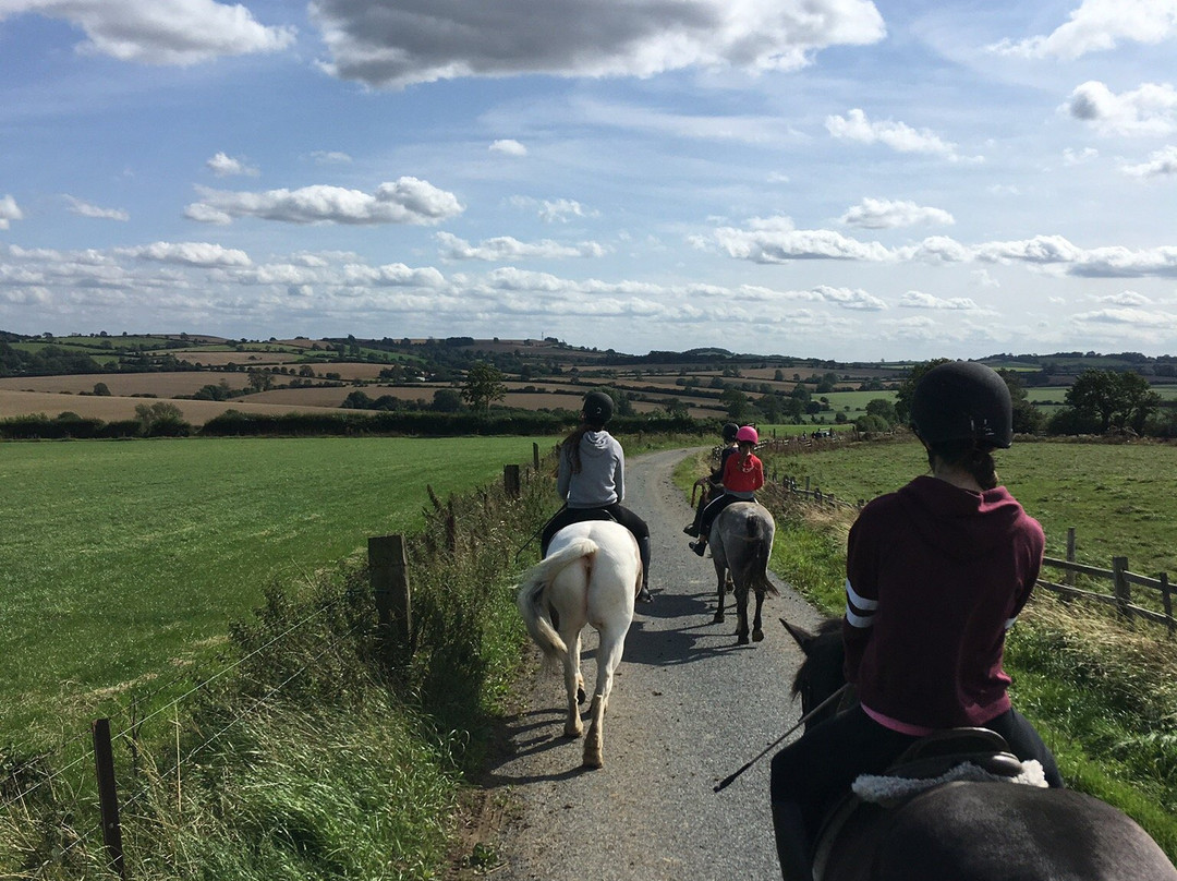 Somerby Equestrian Centre景点图片