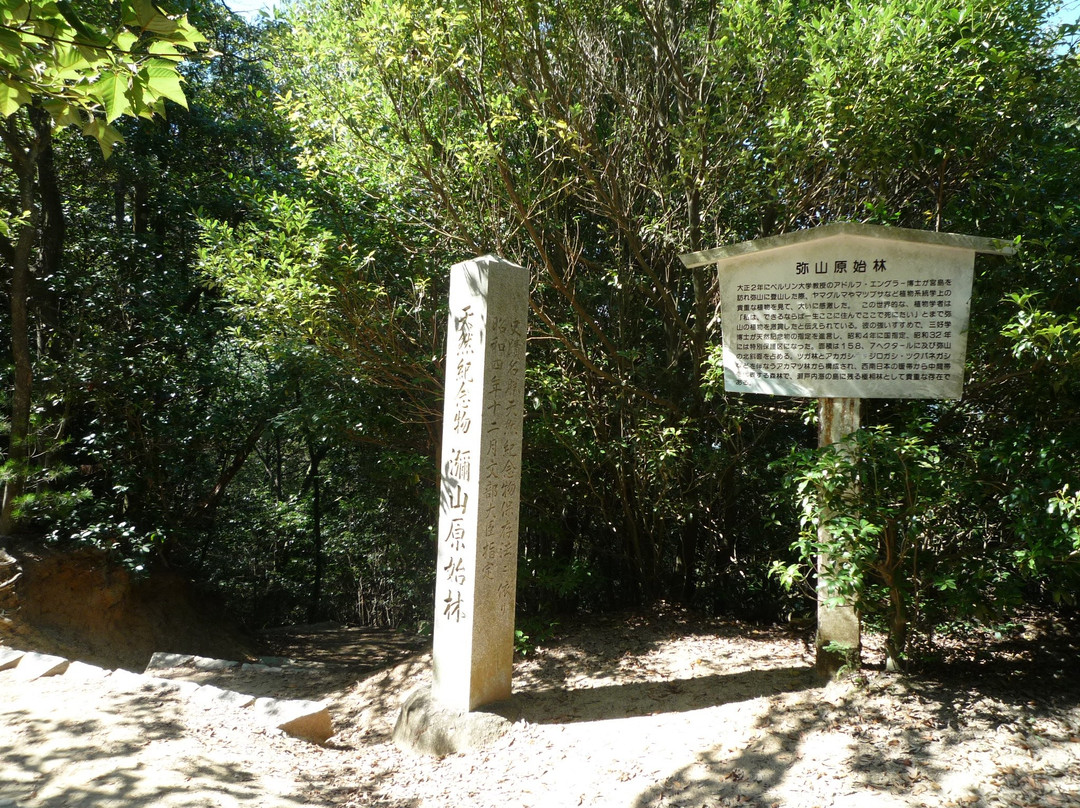 彌山原始林-廿日市市必去景点