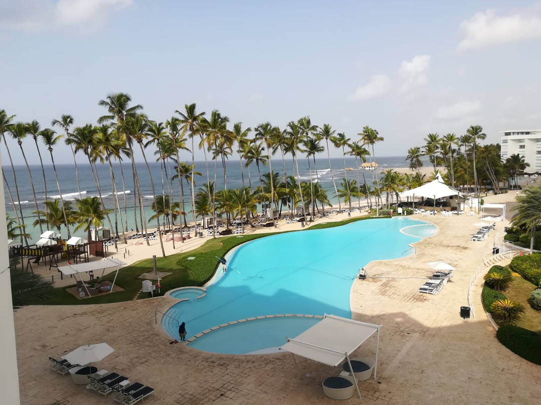 Xeliter Marbella主图