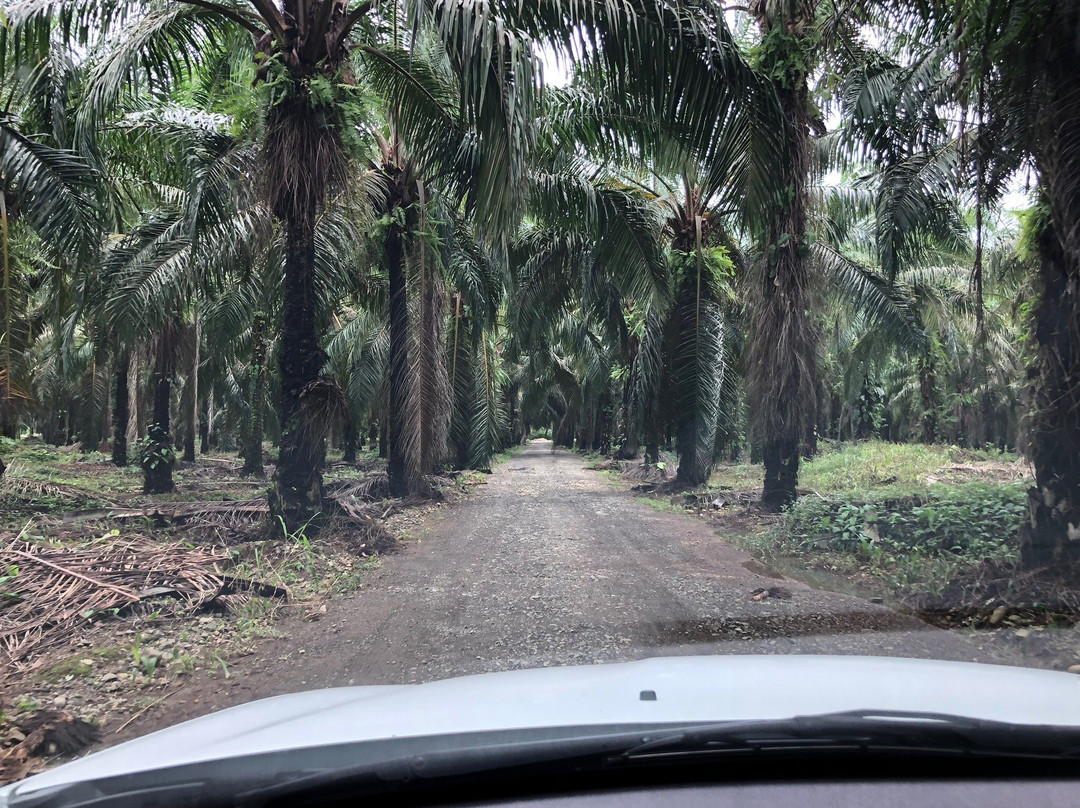 Blue Banyan Inn主图