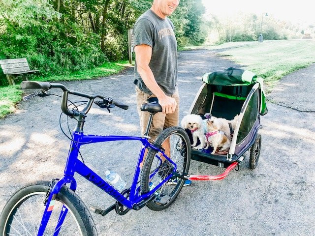 Adventure Damascus & Sundog Outfitter-Damascus必去景点