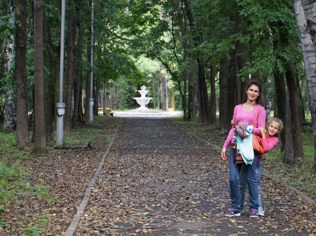 Stroitel Park-Komsomolsk-on-Amur必去景点