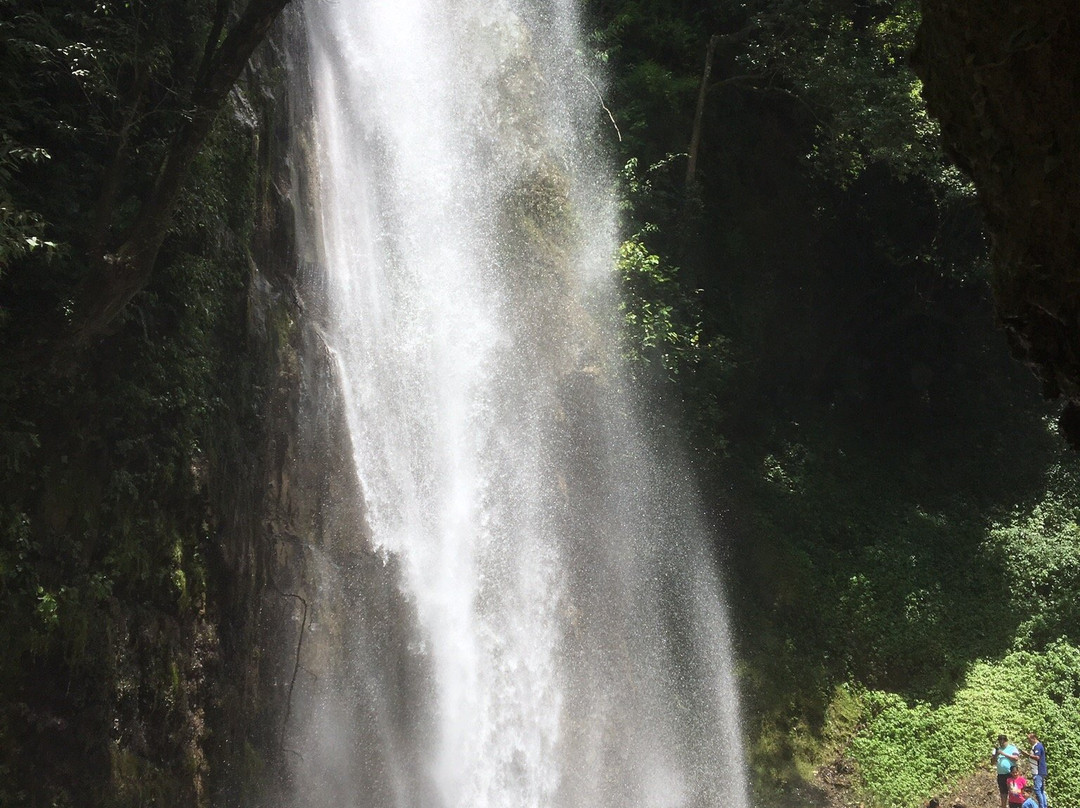 Tiger Falls景点图片