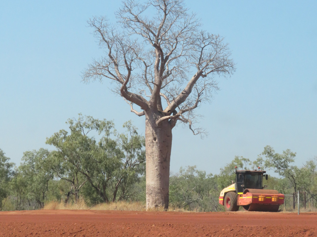 Durack Memorial-Timber Creek必去景点