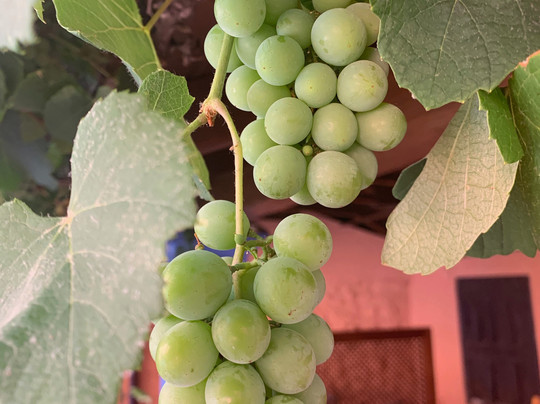 Hotel Amanhavis主图