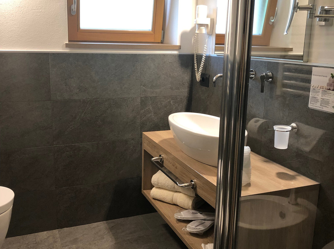 Chalet Aster Hotel主图