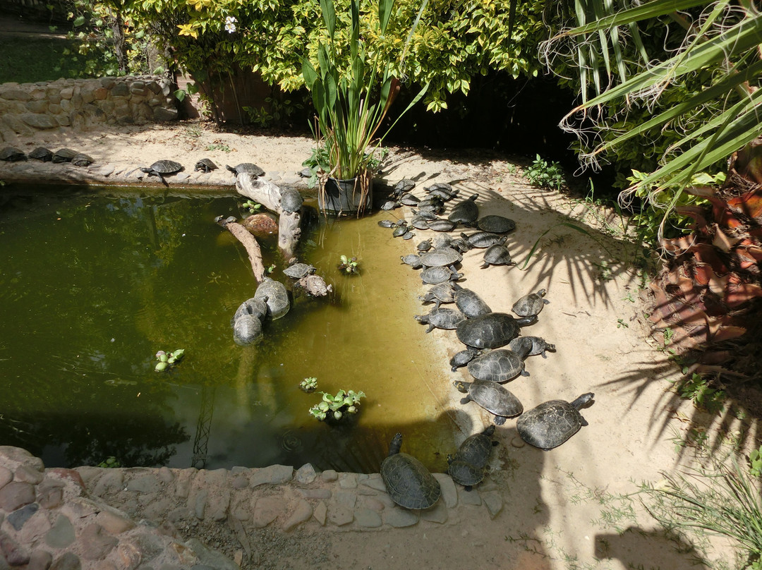 Parque de las Aves Agroflori-科恰班巴必去景点