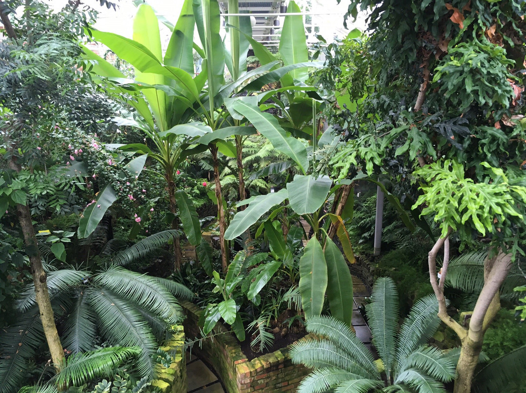 The Tropical Ravine House-贝尔法斯特必去景点