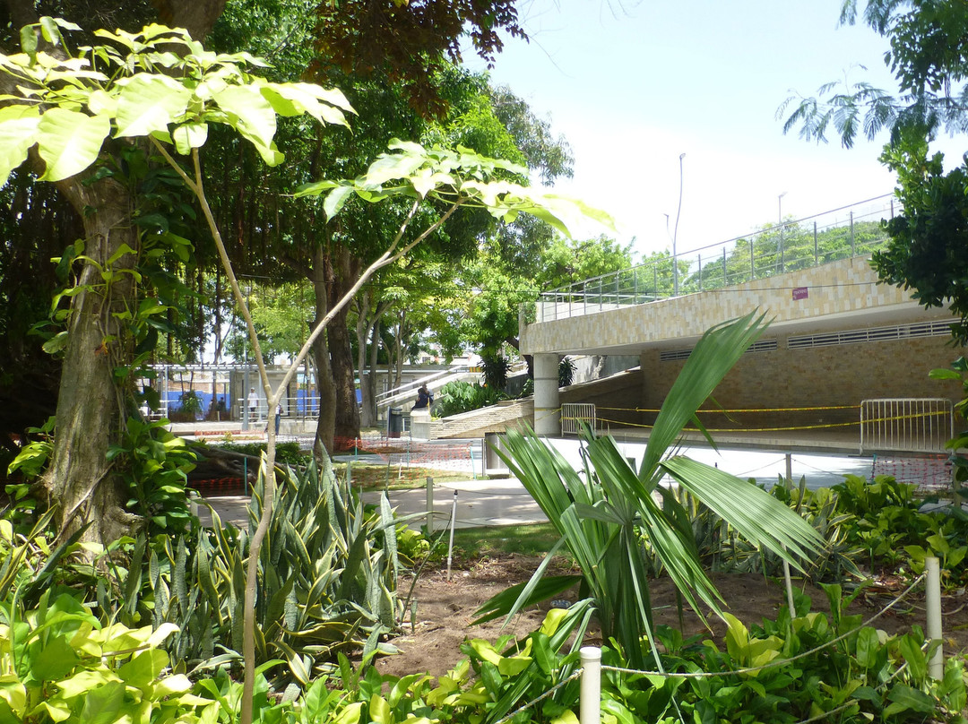 Plaza de la Paz-Barranquilla必去景点