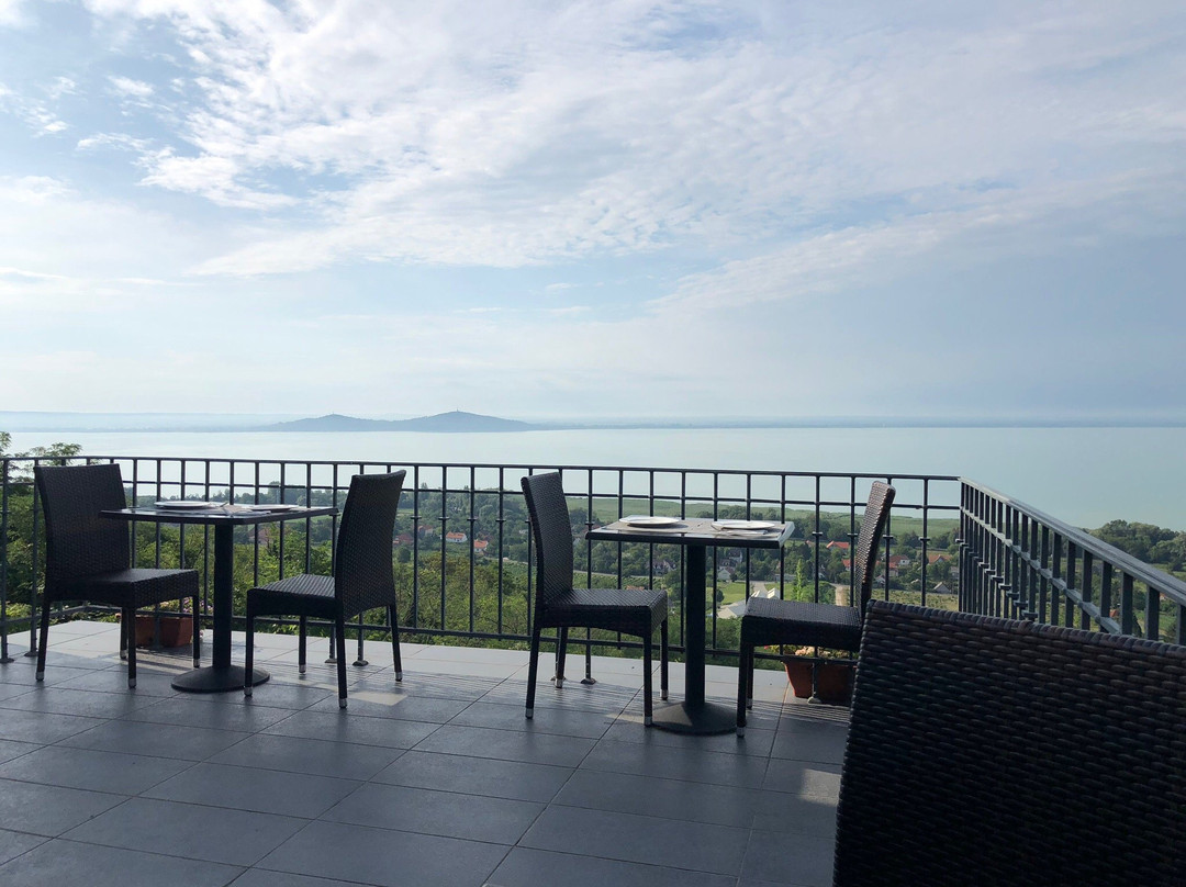 Villa Patzay Borhotel主图