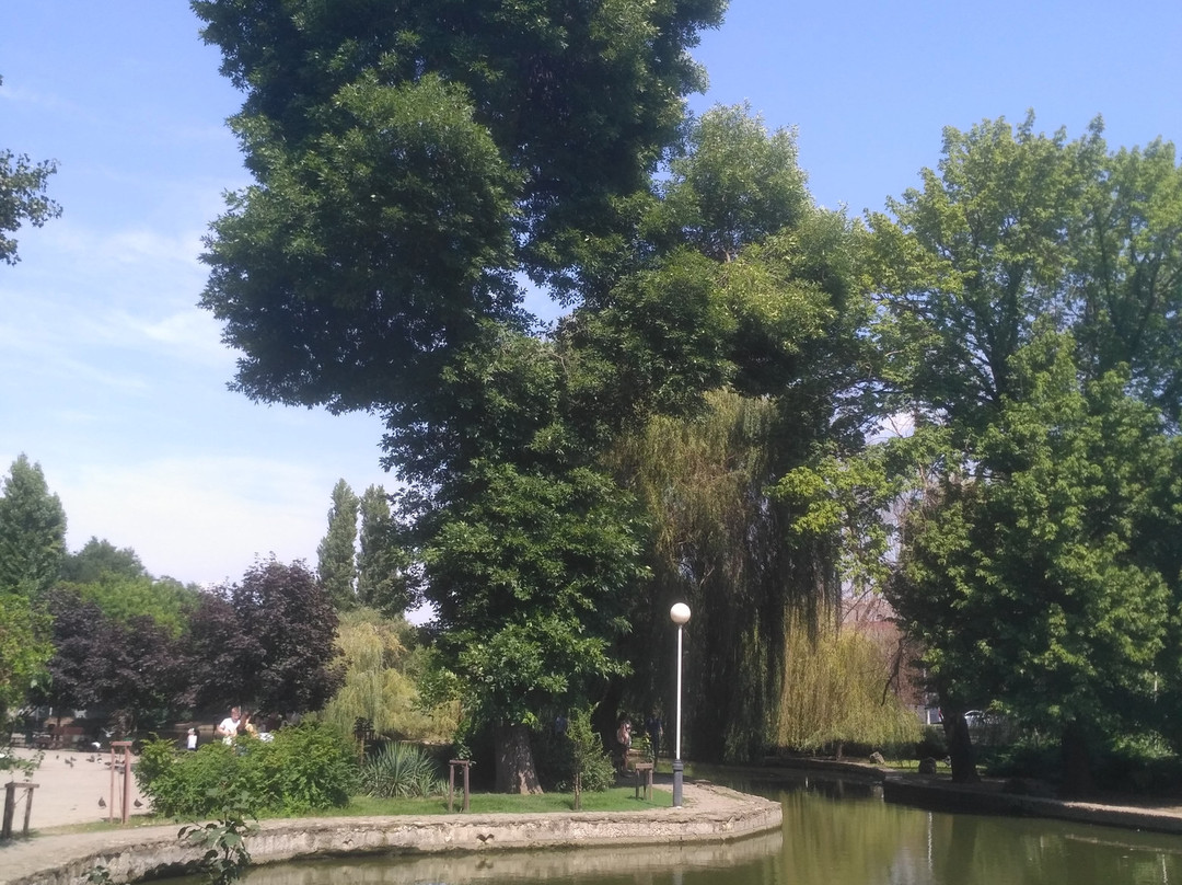 City Botanical Garden景点图片