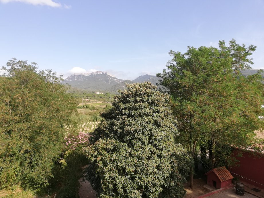 Hotel Dosterras主图