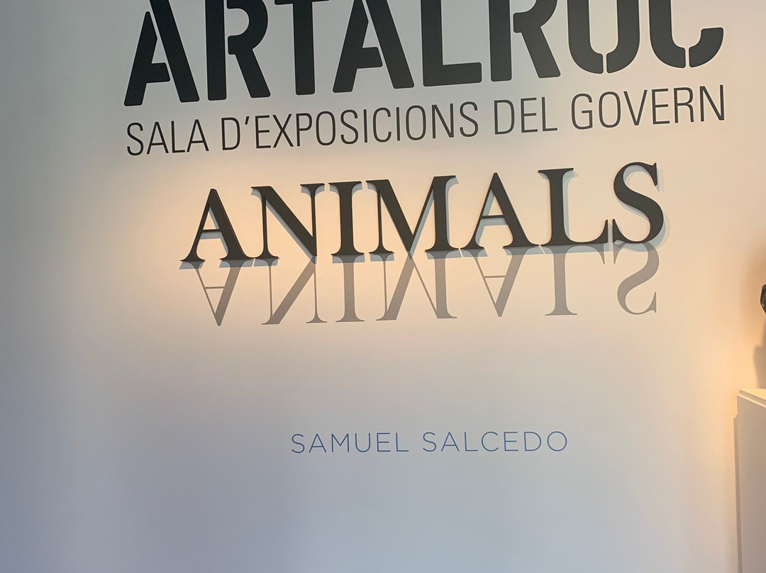 ARTALROC Sala de Exposiciones del Gobierno-莱斯埃斯卡迪斯必去景点