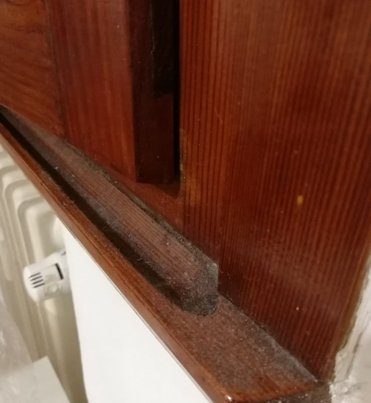 B&B Casa Patavina主图