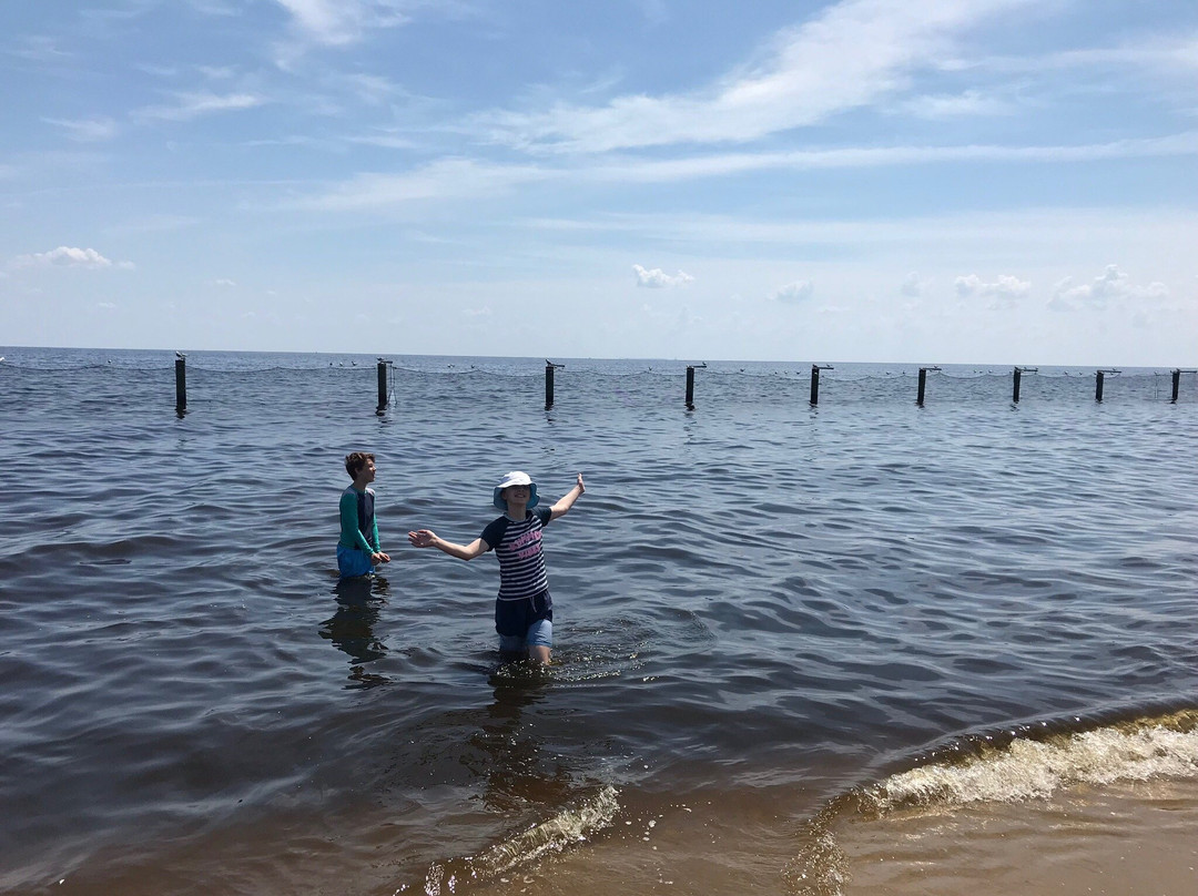 Breezy Point Beach景点图片