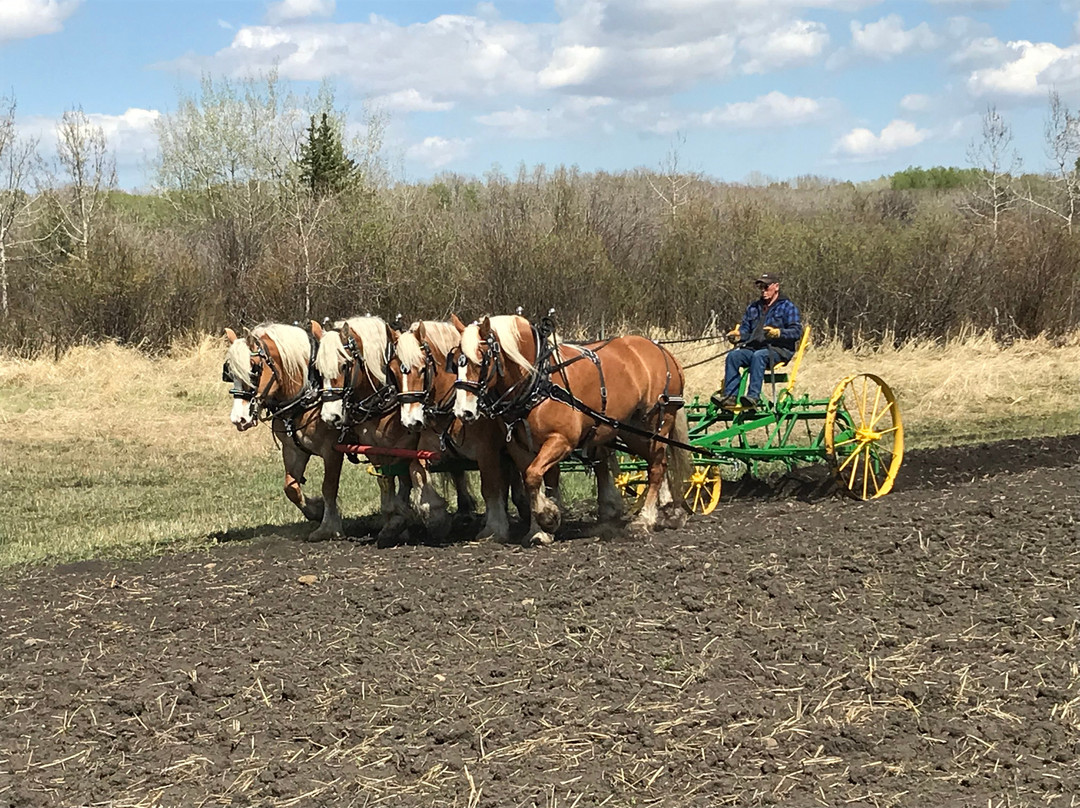 Double Tree Village Museum-Spruce View必去景点