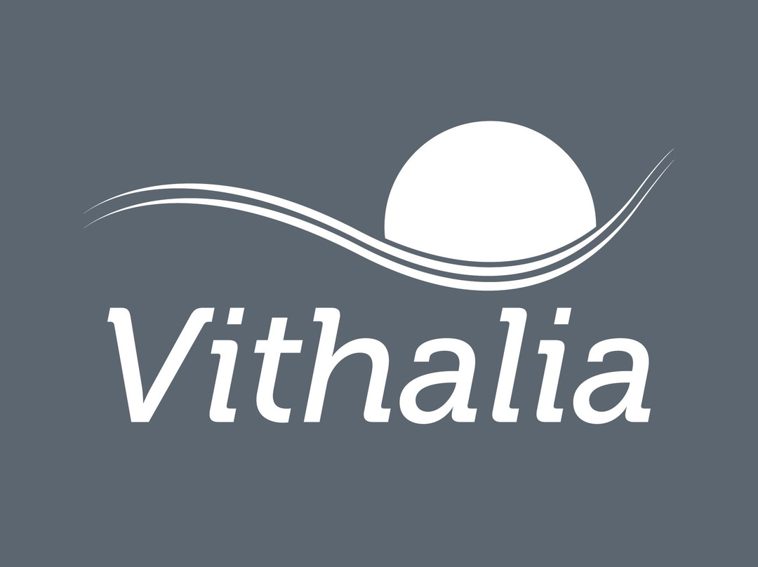 Vithalia景点图片