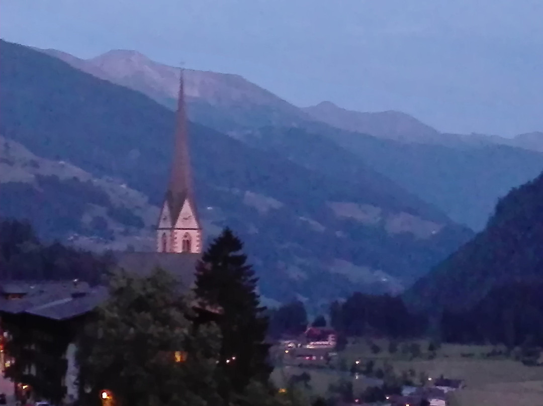 Panorama Hotel Laerchenhof主图