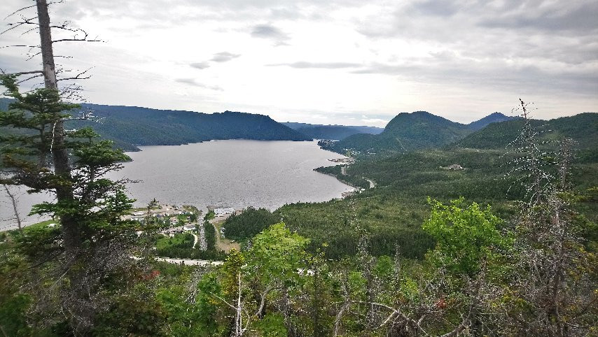 Lookout Hills Trail景点图片