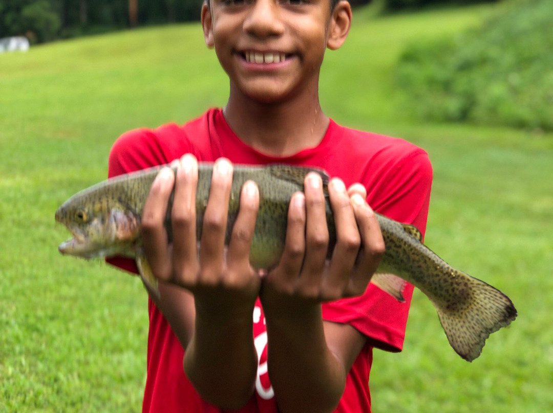 Andy's Trout Farm景点图片