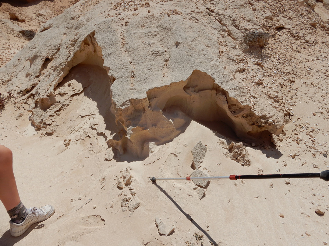 Barranco del Jable景点图片